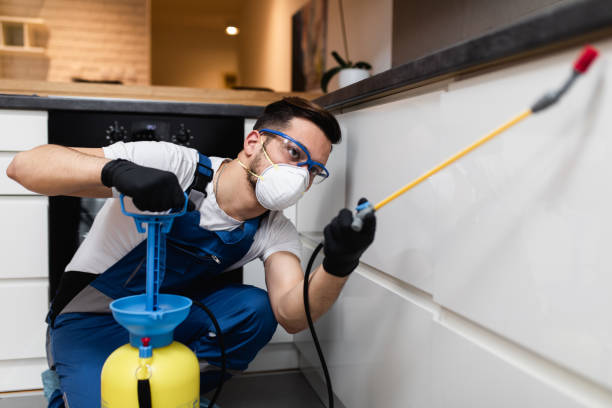 Best Flea Control Services  in New Chicago, IN