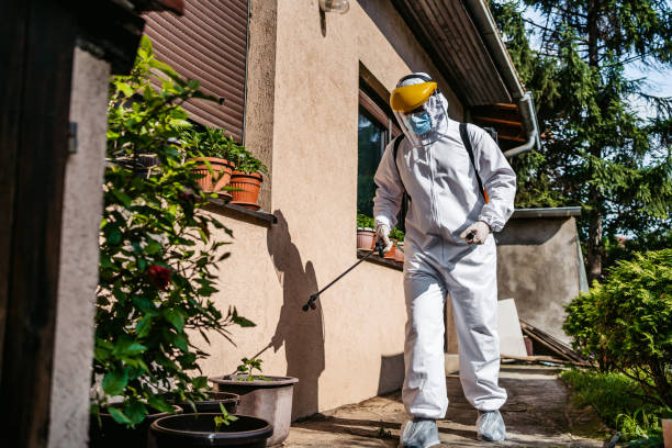 Trusted New Chicago, IN Pest Control Experts