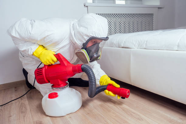 Best Affordable Pest Control Services  in New Chicago, IN