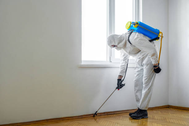 Best Emergency Pest Control  in New Chicago, IN