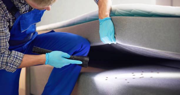 Best Bed Bug Extermination  in New Chicago, IN
