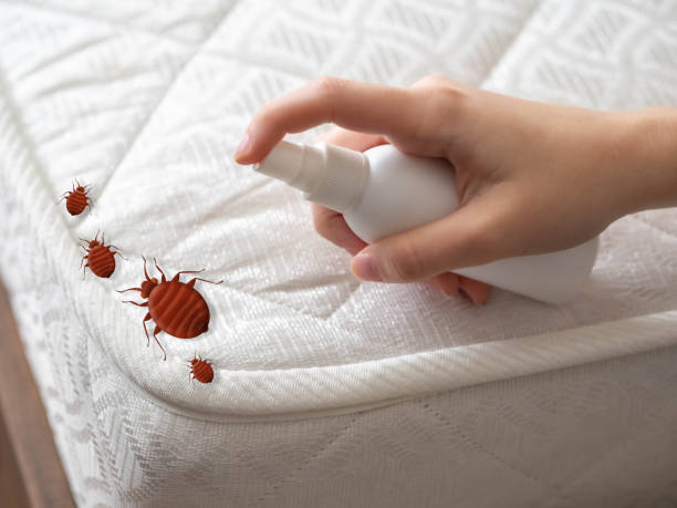 Flea Control Services in New Chicago, IN