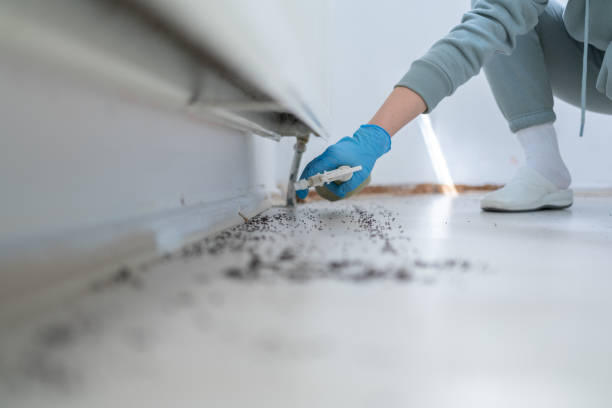 Best Pest Control for Businesses  in New Chicago, IN