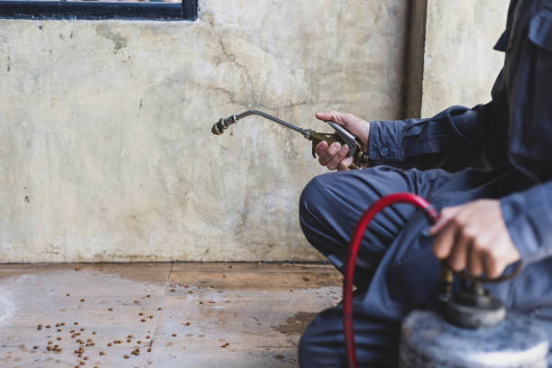 Best Emergency Pest Control  in New Chicago, IN